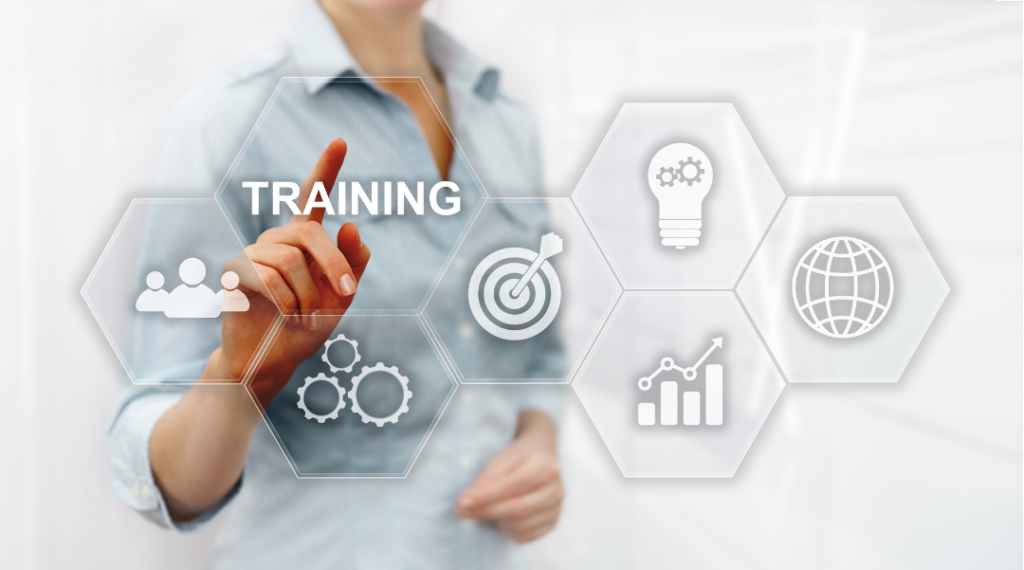 Formation en management et développement des compétences pour les équipes